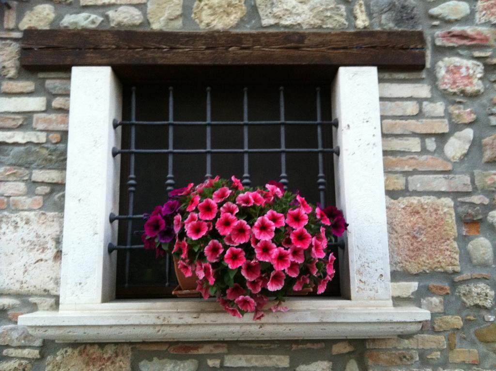 Agriturismo La Cantina Ascoli Piceno Exterior foto