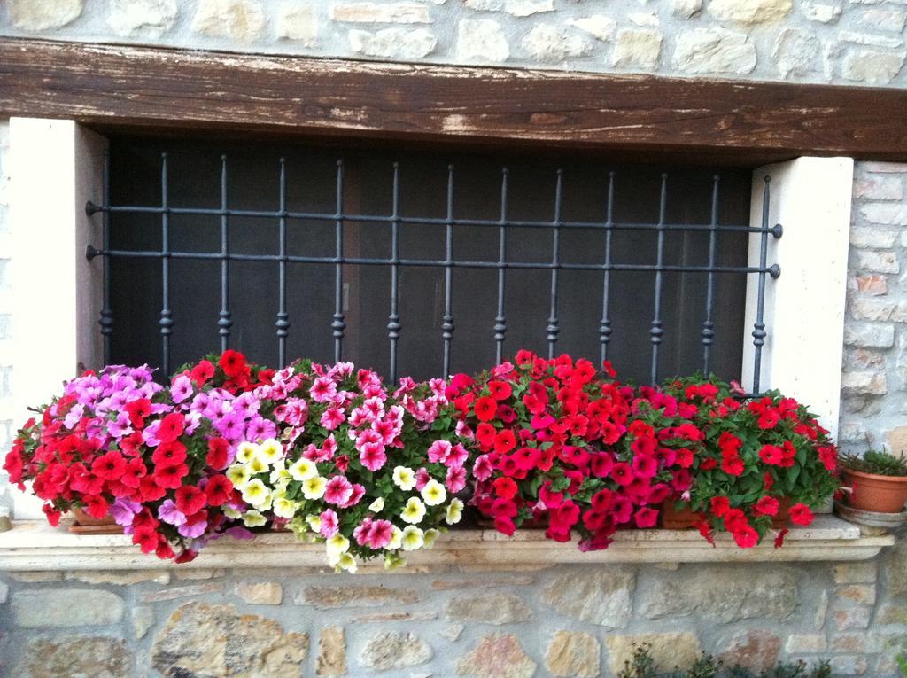 Agriturismo La Cantina Ascoli Piceno Exterior foto